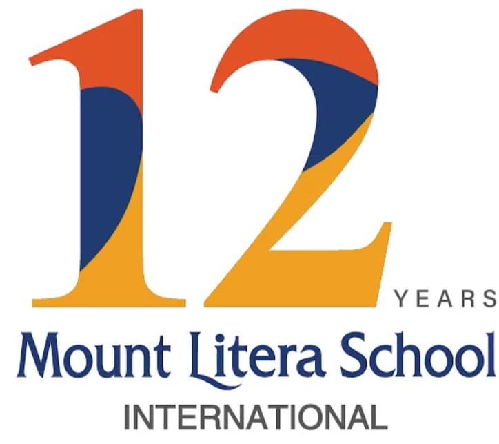 12 Years MLSI